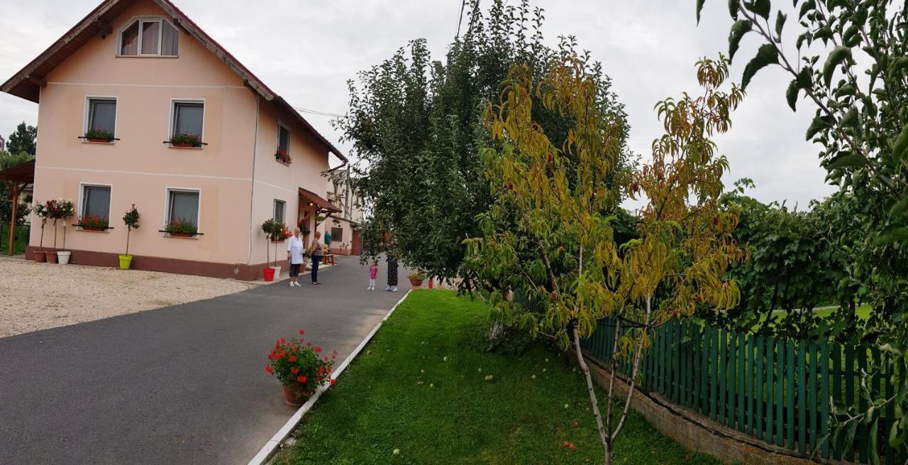 Hotel Cazare La Troita Codlea Exteriér fotografie